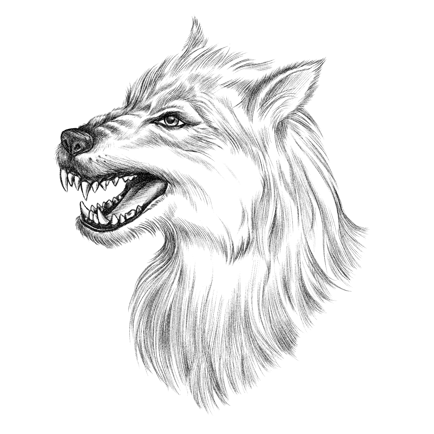 Wired_AlphaBay_CH06_Illo_220928