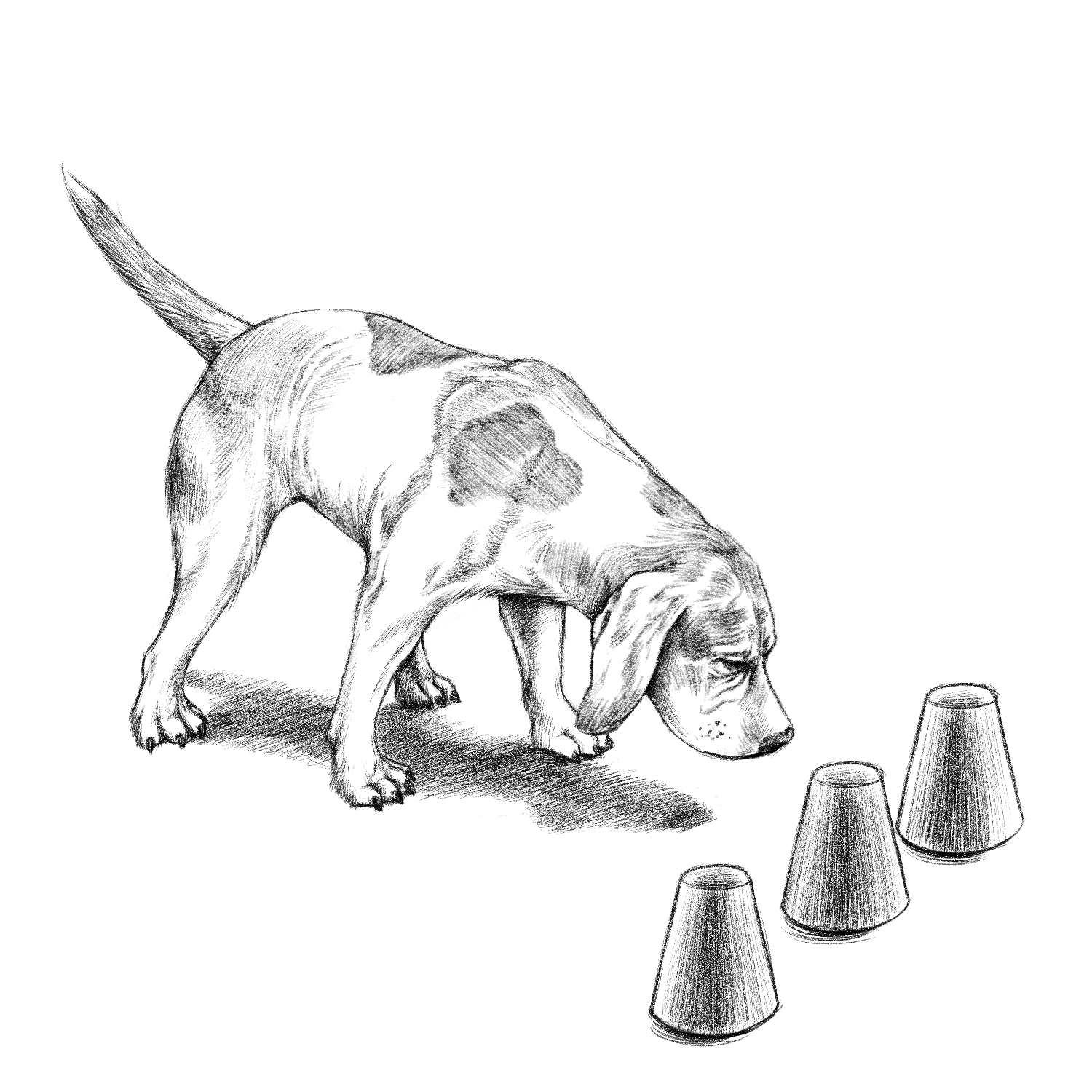 Wired_AlphaBay_CH09_Illo_221017