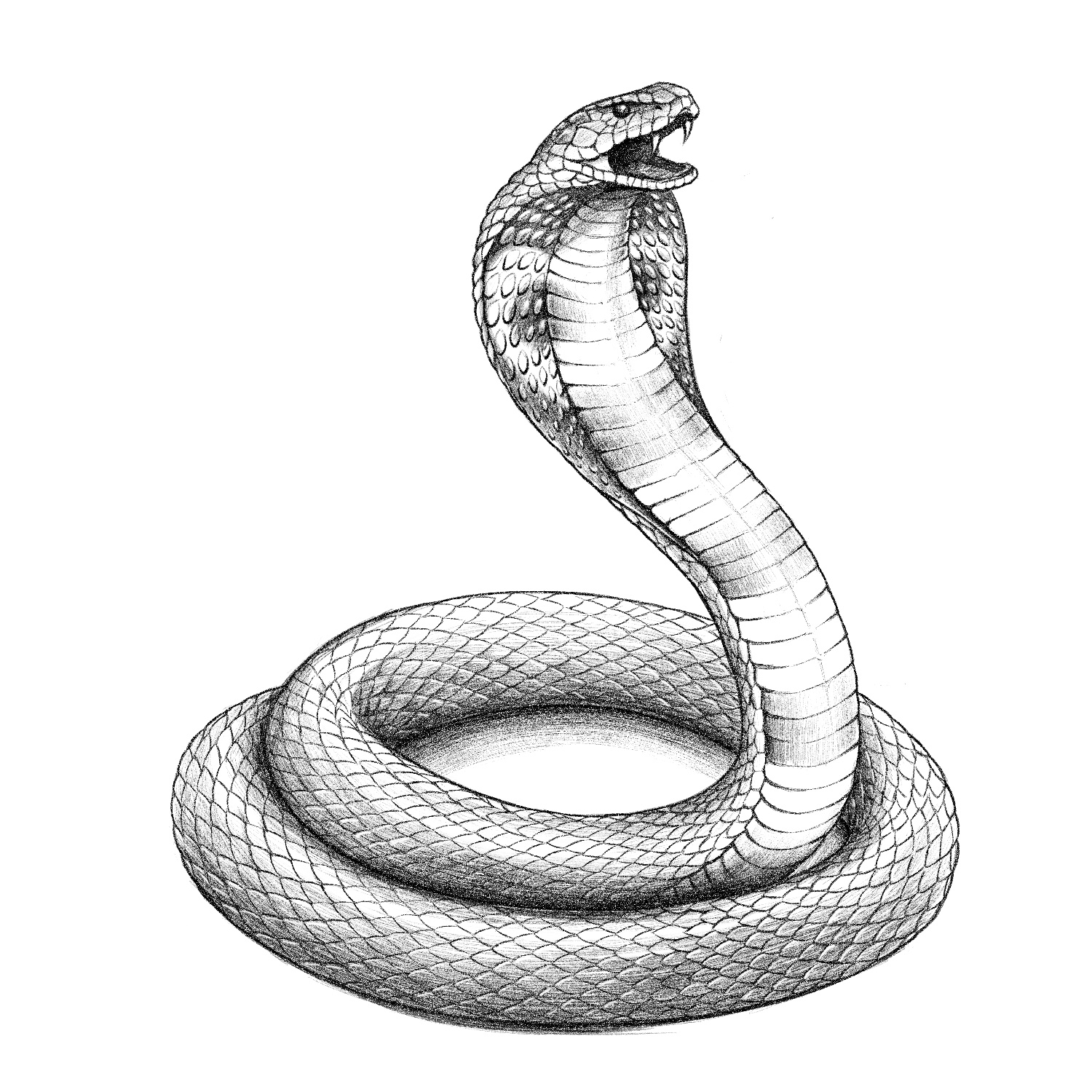 Wired_AlphaBay_CH16_Illo_221020